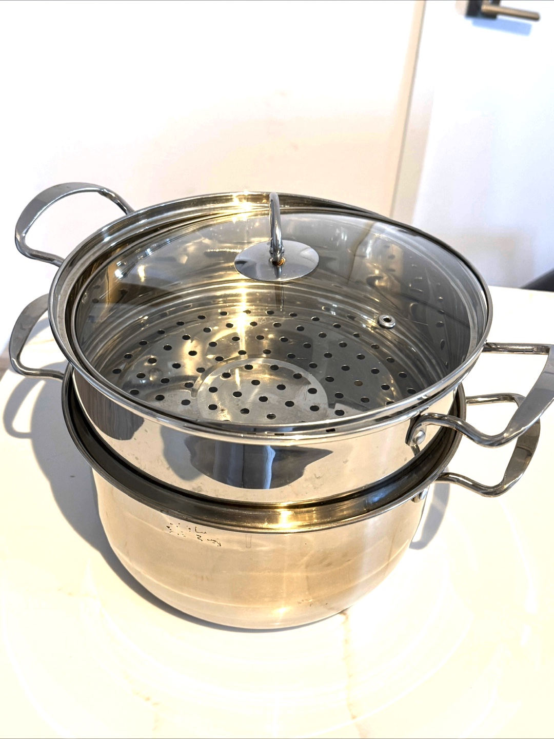 Stainless Steel Steamer Pot