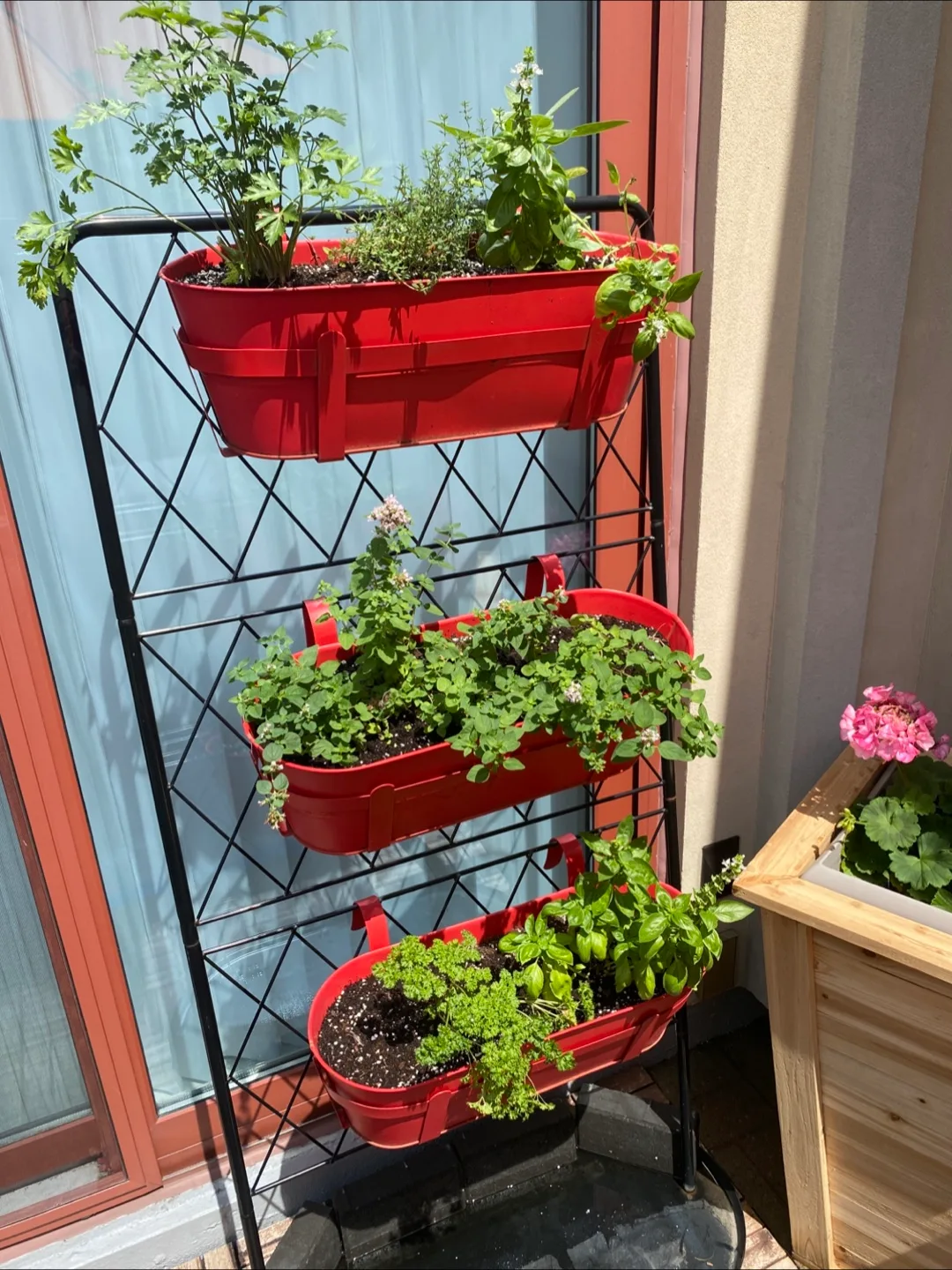 IKEA Vertical Garden (including plants) thumbnail