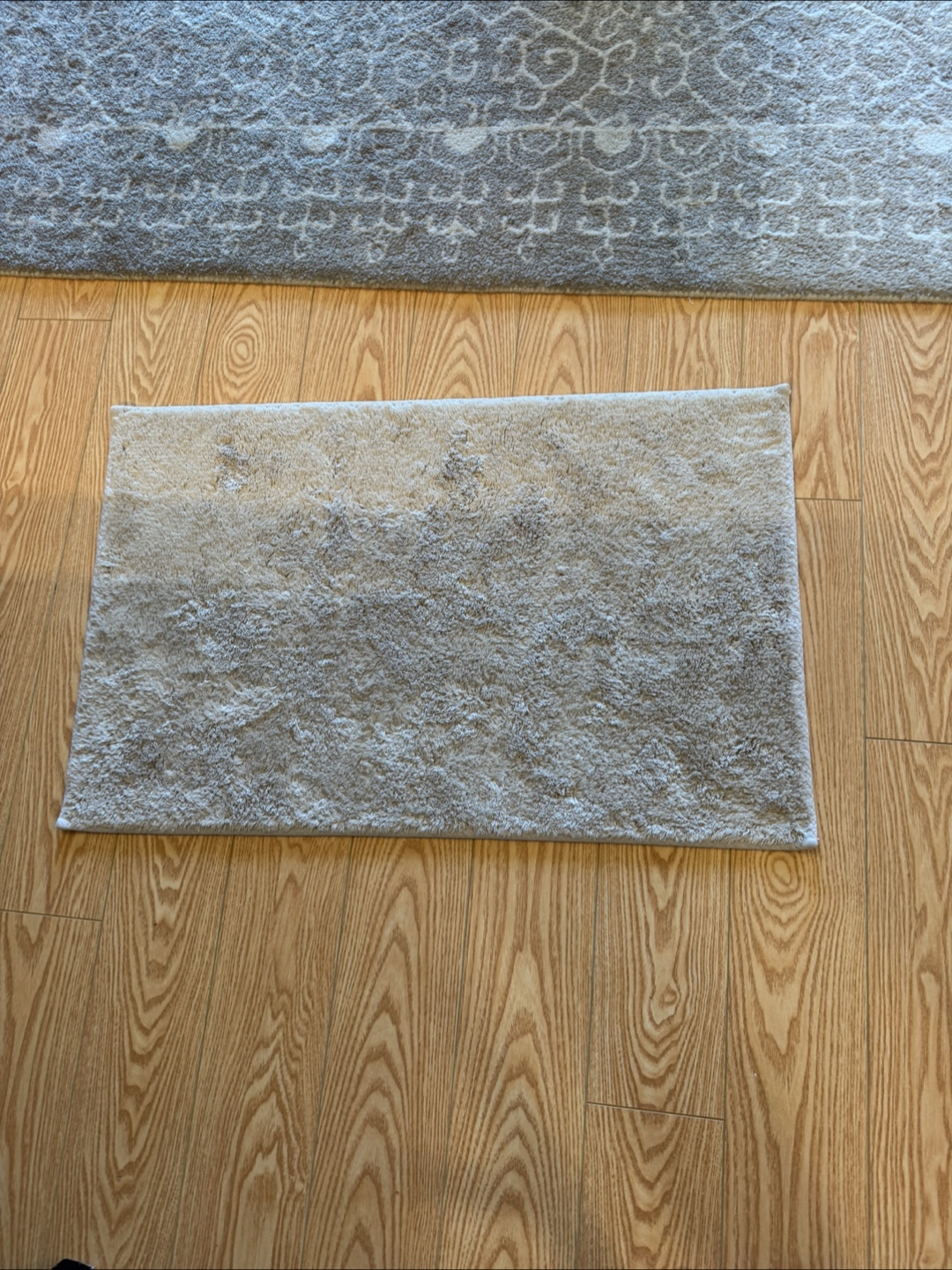 Beige Area Rug - photo 2