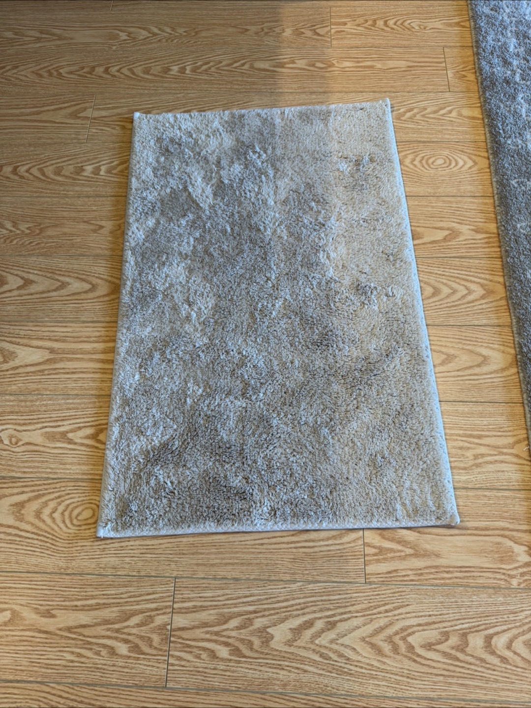 Beige Area Rug