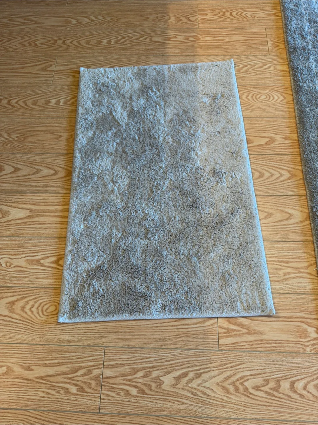 Beige Area Rug thumbnail