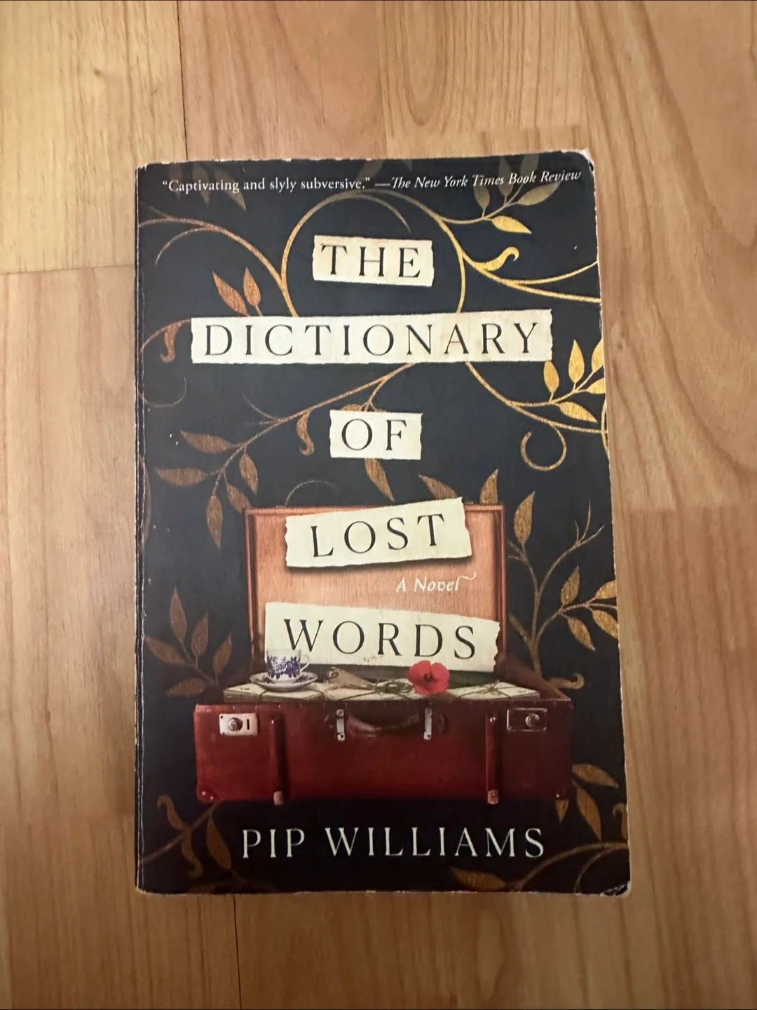 The Dictionary of Lost Words by Pip Williams thumbnail