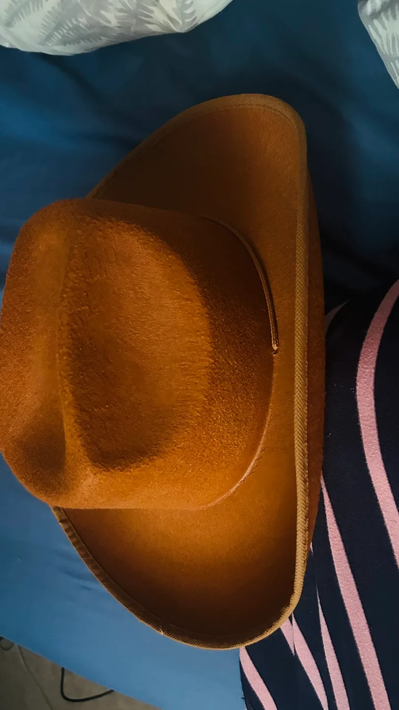Brown Cowboy Hat thumbnail