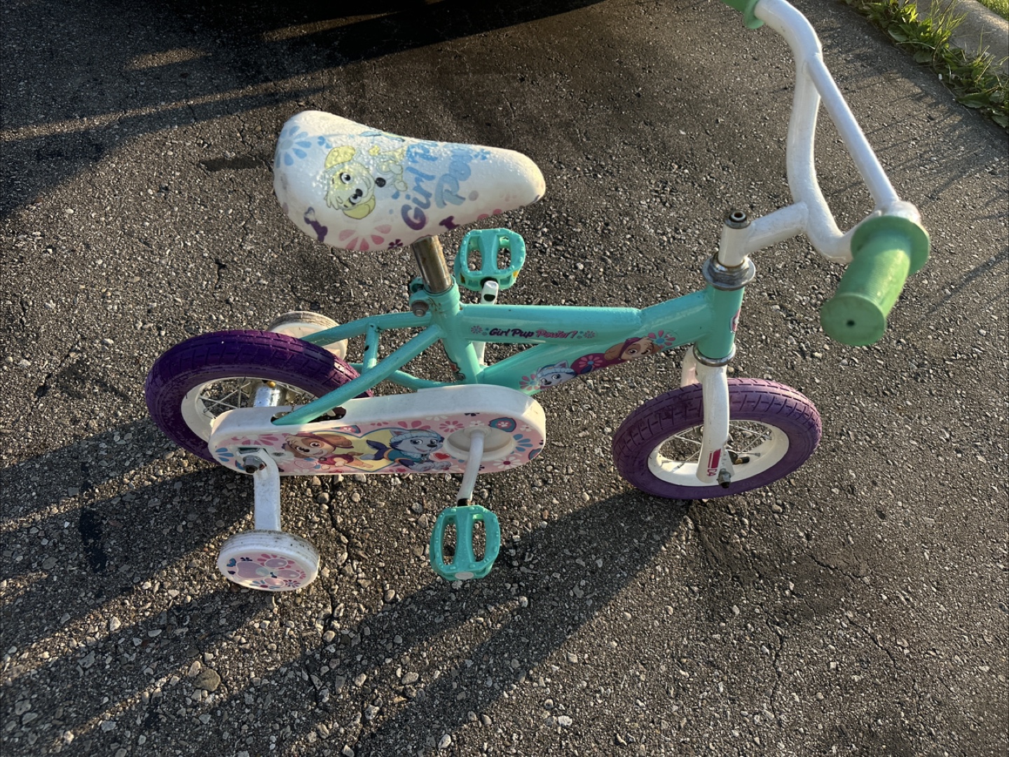 Paw Patrol 'Girl Pup Power!' Kids Bike