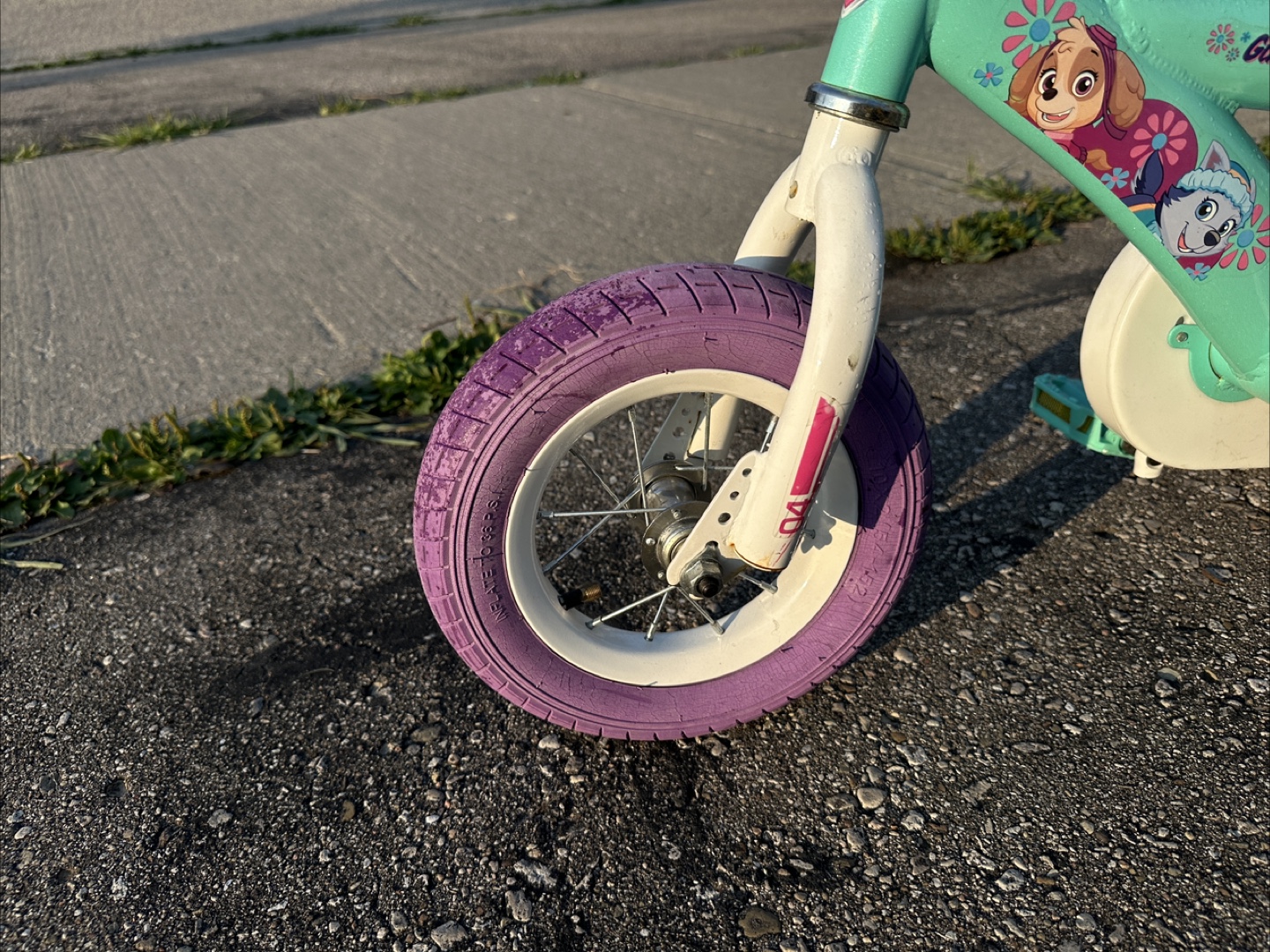 Paw Patrol 'Girl Pup Power!' Kids Bike - photo 2