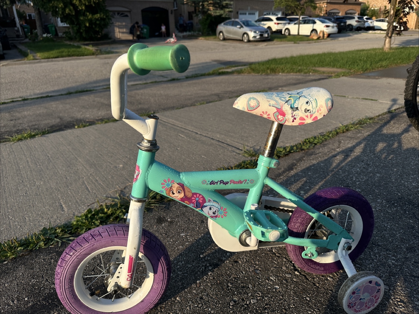 Paw Patrol 'Girl Pup Power!' Kids Bike - photo 3