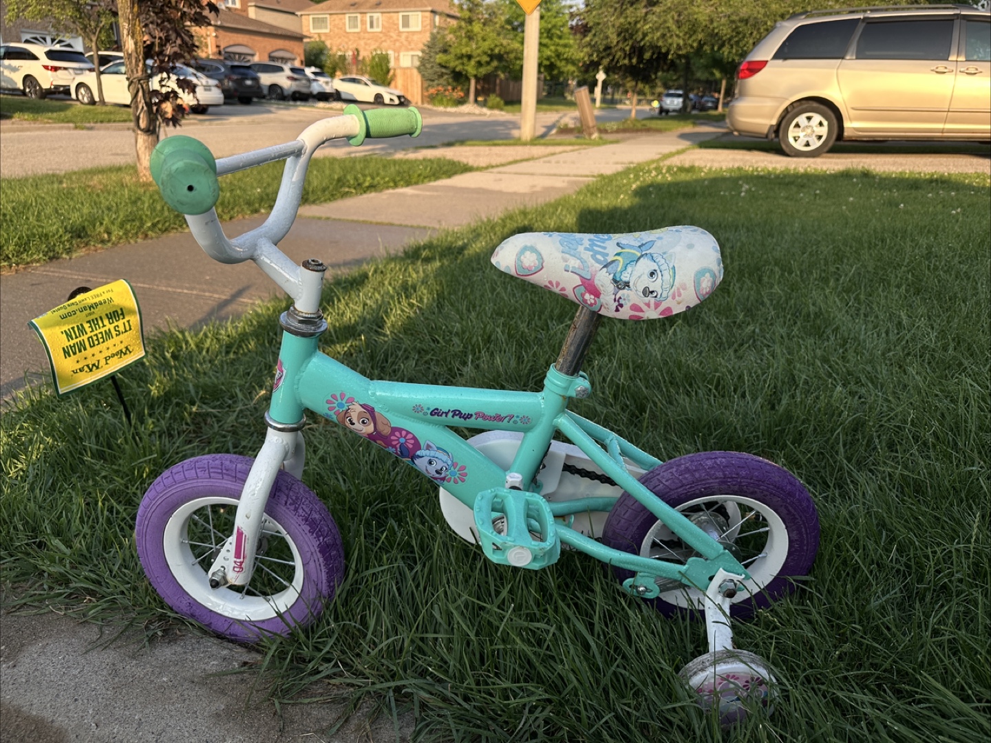 Paw Patrol 'Girl Pup Power!' Kids Bike - photo 5