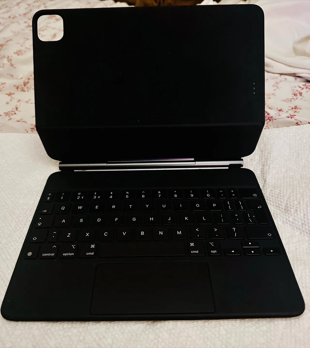 Apple iPad Pro Magic Keyboard Black 11inch image indicator(3)