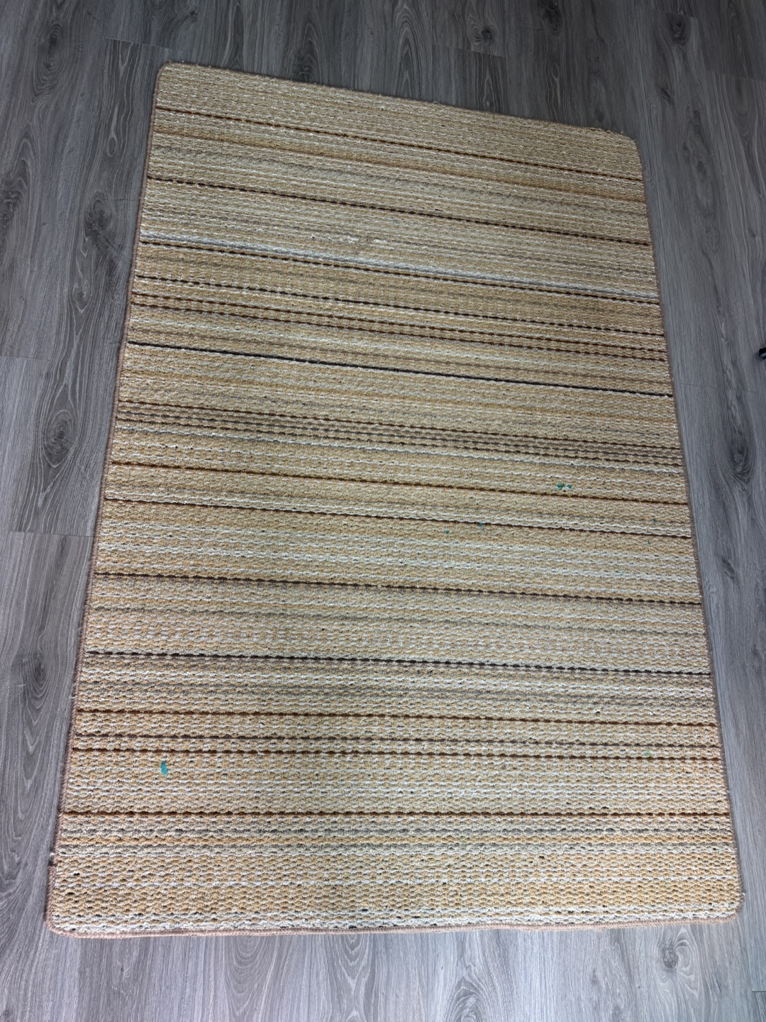 Striped Area Rug - photo 2