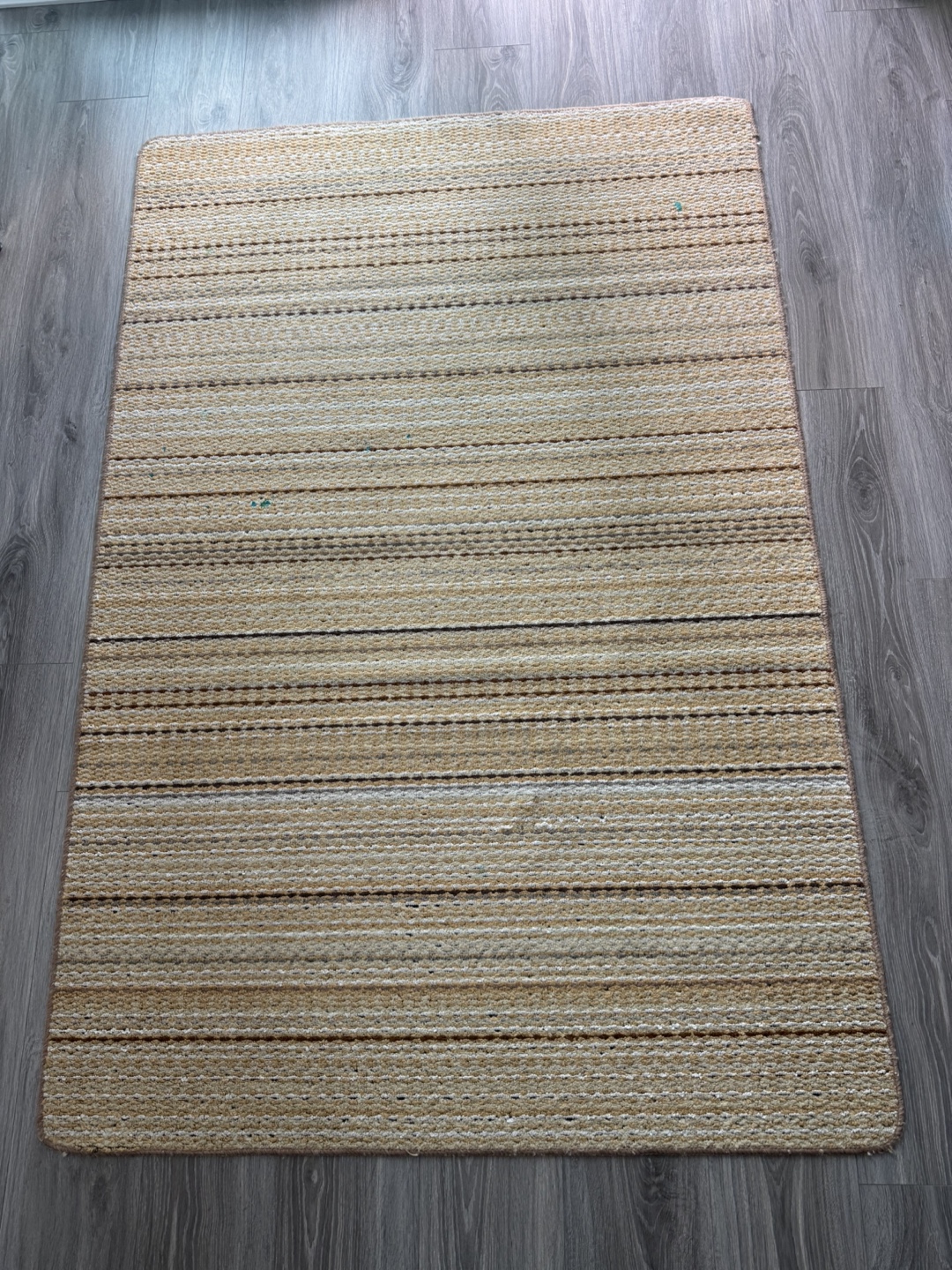 Striped Area Rug