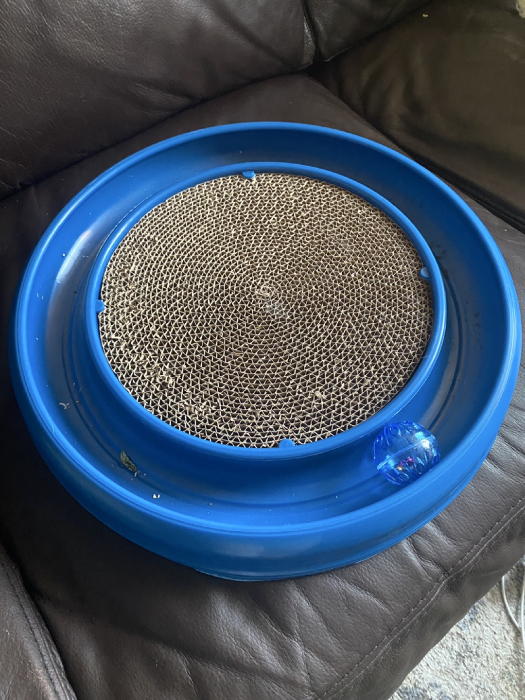 Cat Scratcher Toy with Ball