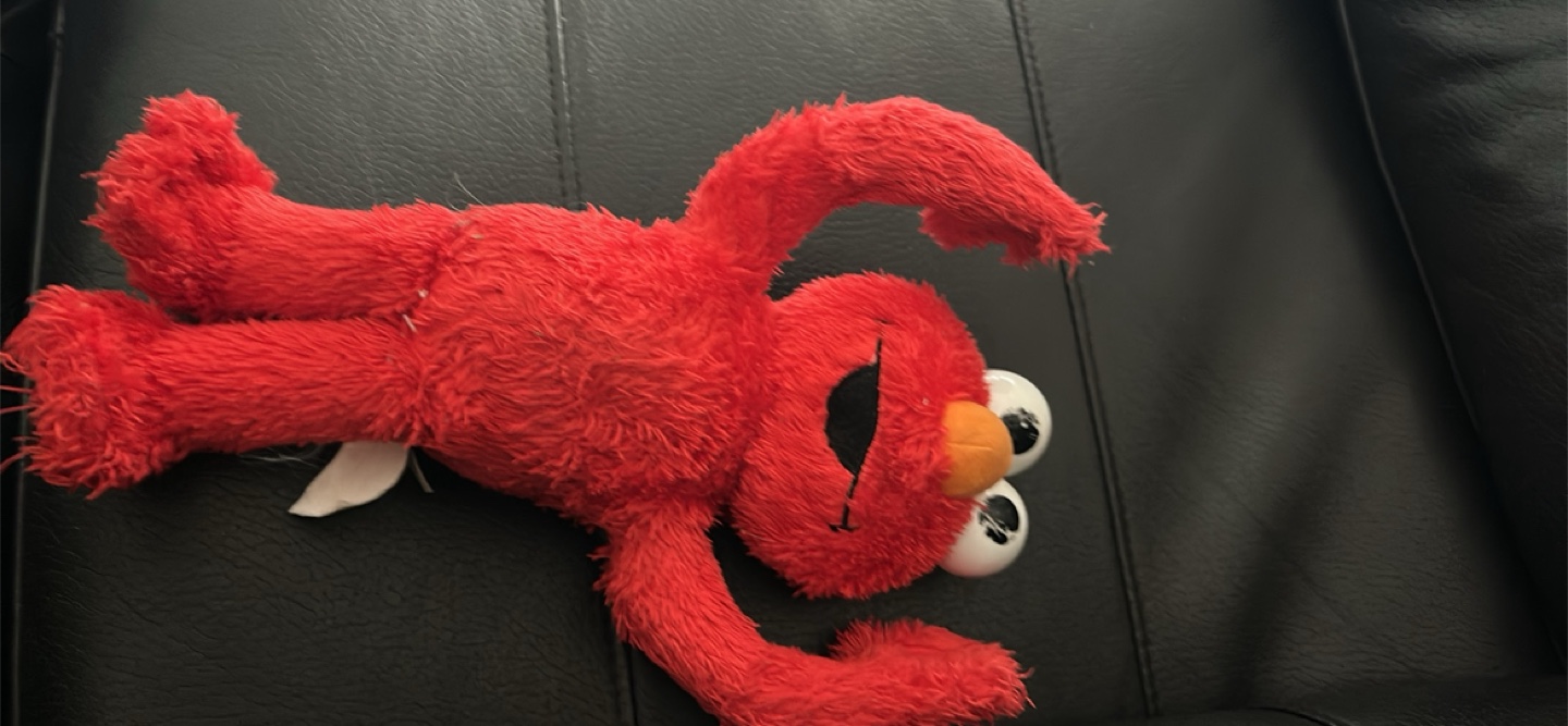 Cookie Monster and Elmo - photo 4
