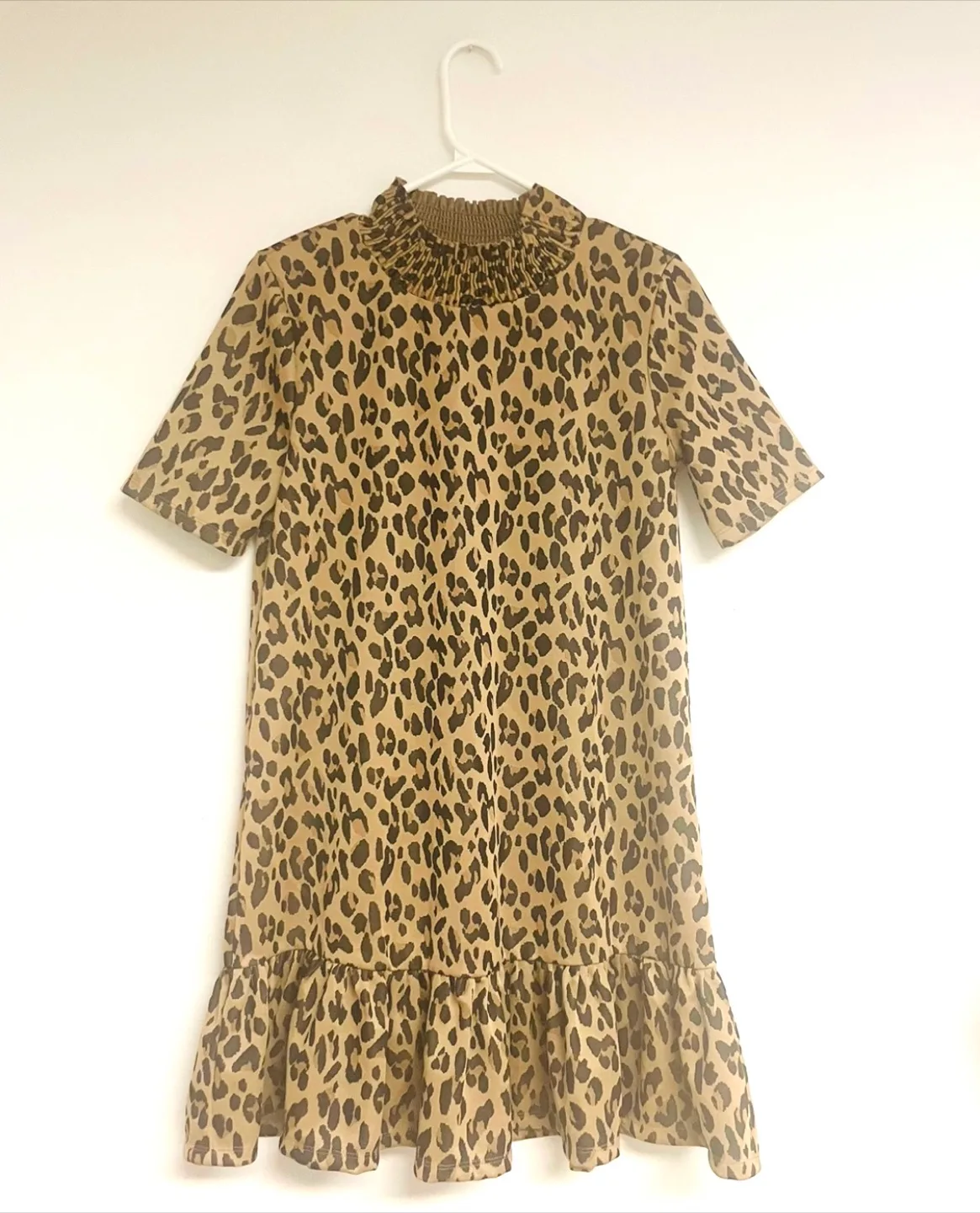 Zara Leopard Print Mini Dress thumbnail