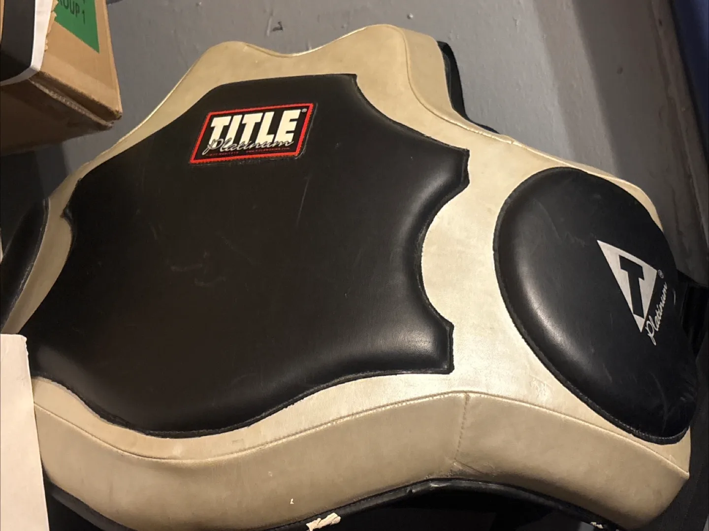 TITLE Platinum Body Protector thumbnail