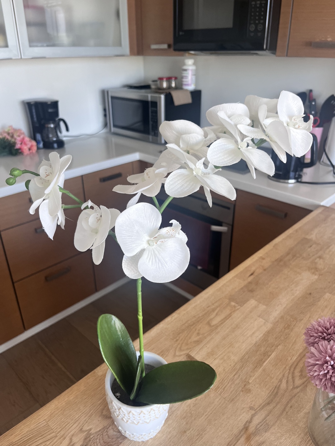 White Fake Orchid Plant