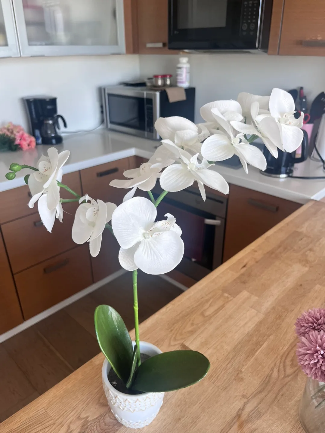 White Fake Orchid Plant thumbnail