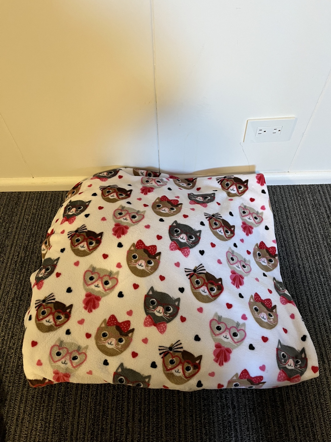 Cat Print Fleece Throw Blanket