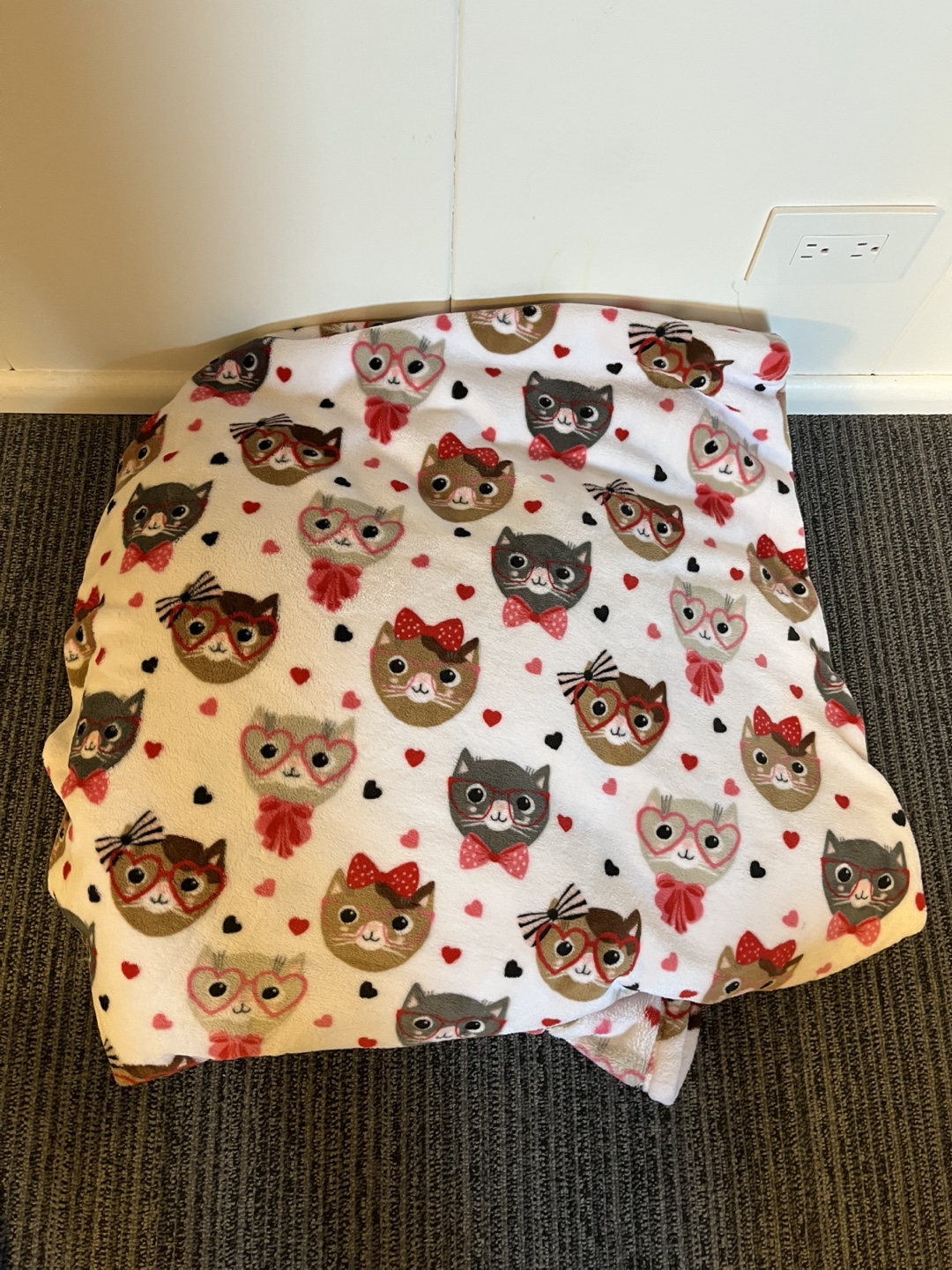 Cat Print Fleece Throw Blanket - photo 3