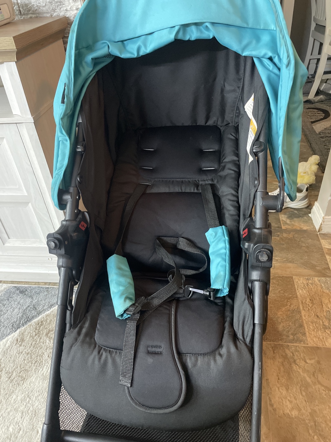 Dorel Juvenile Group Stroller - Black & Teal
