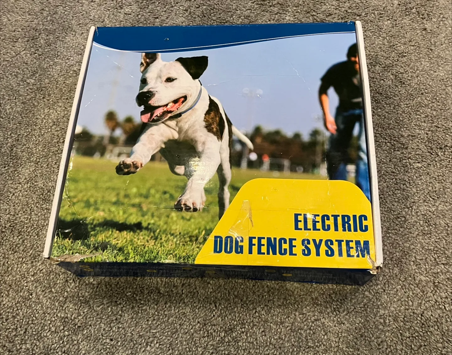Electric Dog Fence System thumbnail