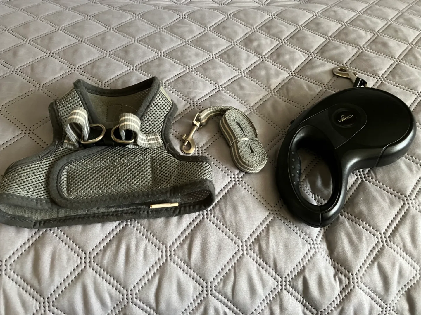 Pet Harness and Retractable Leash Set thumbnail