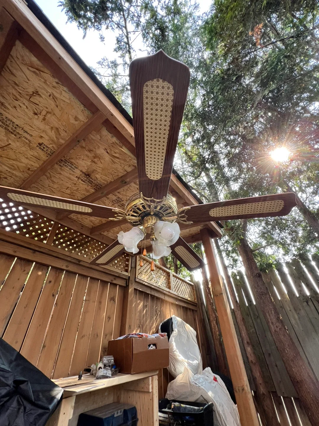 Ceiling Fan with Lights thumbnail