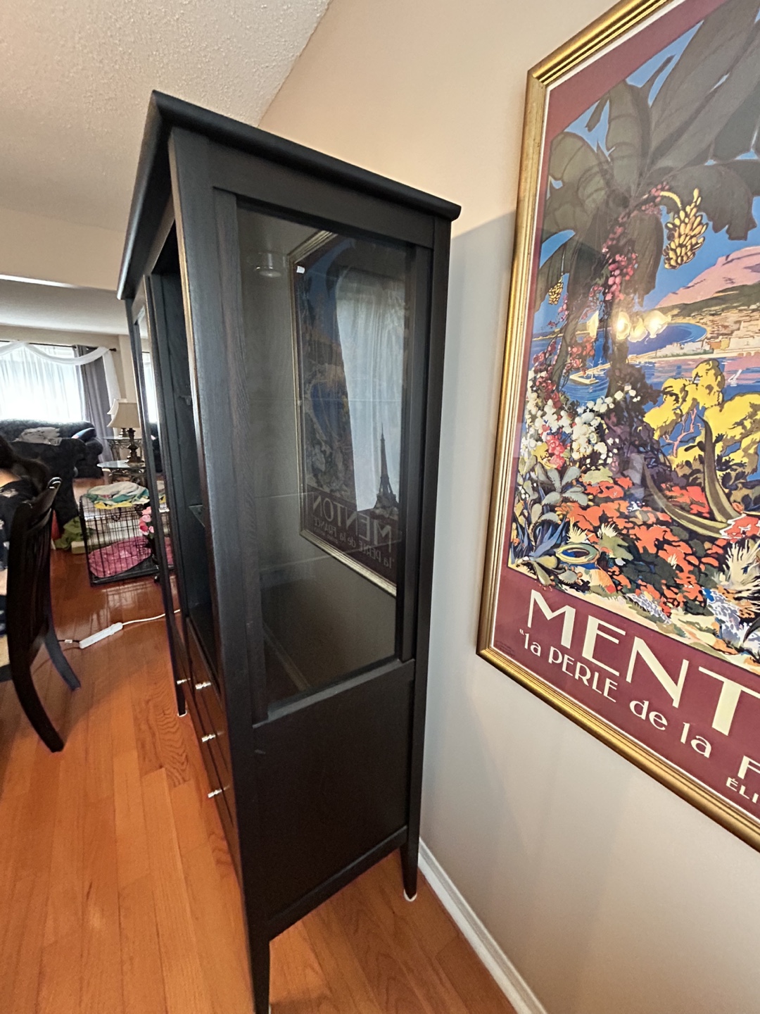 Black Curio Cabinet with Glass Door - photo 5
