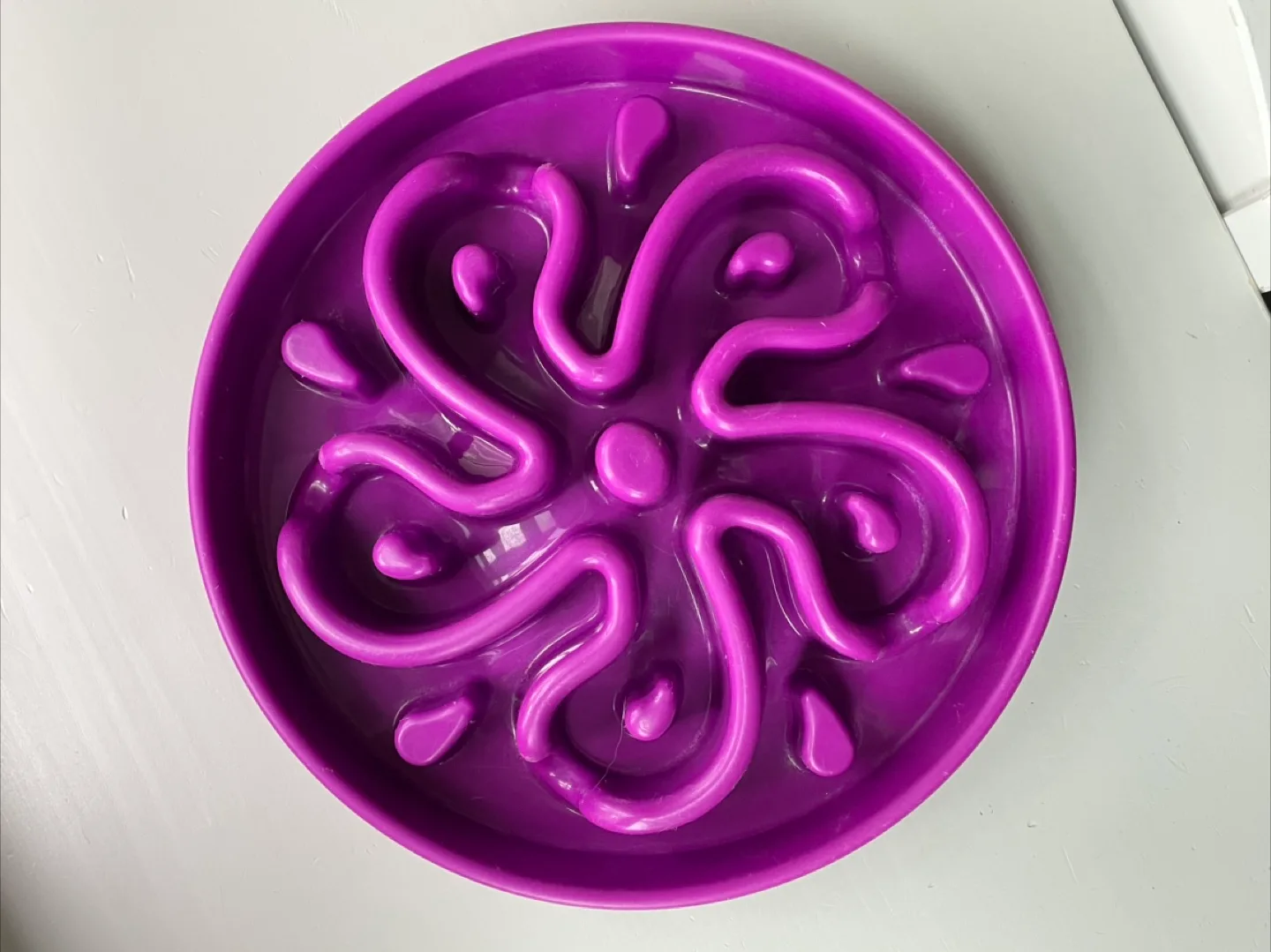 Purple Slow Feeder Dog Bowl thumbnail