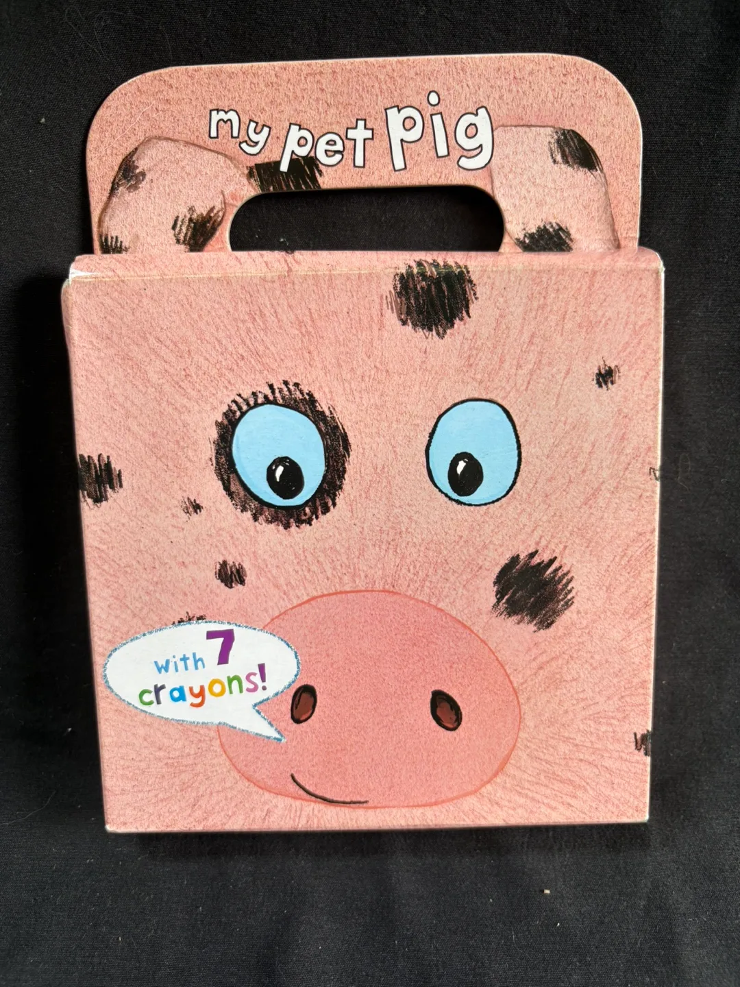 🇨🇦Parragon My Pet Pig Colouring Fun Box thumbnail