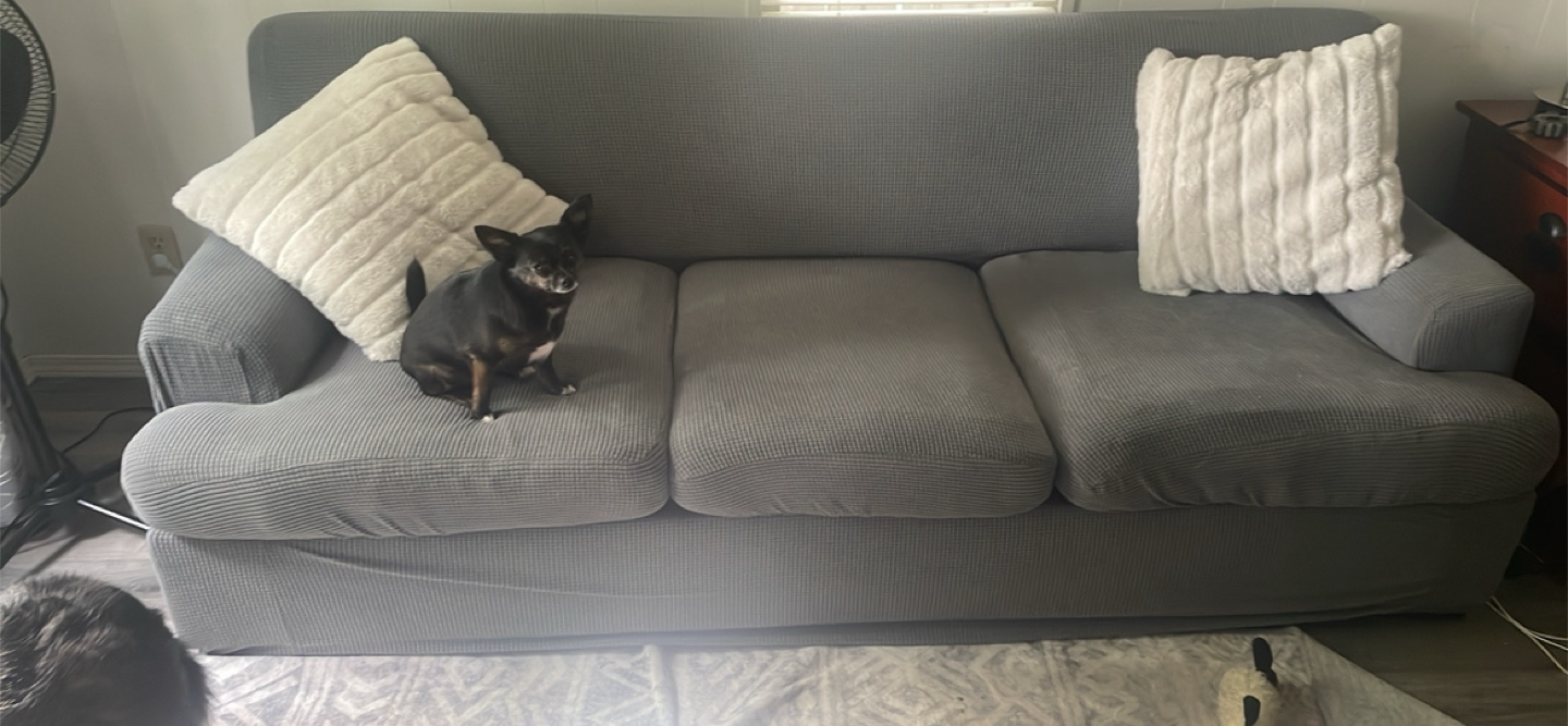 Free sofa - photo 2