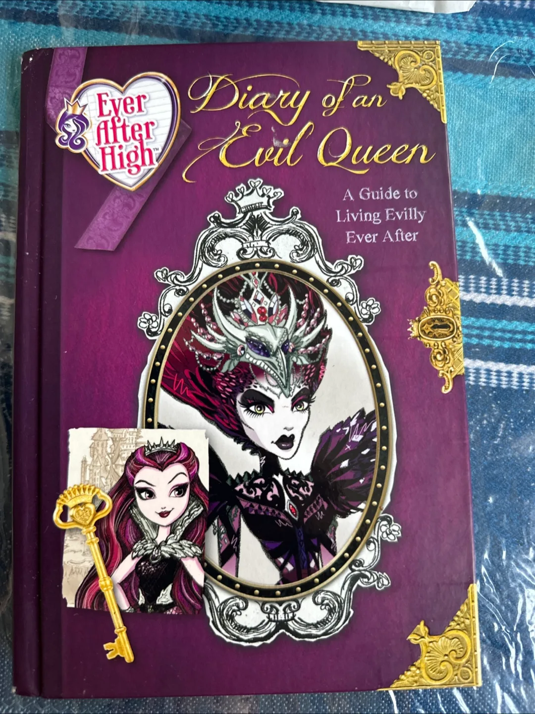 Ever After High Diary of an Evil Queen Book thumbnail