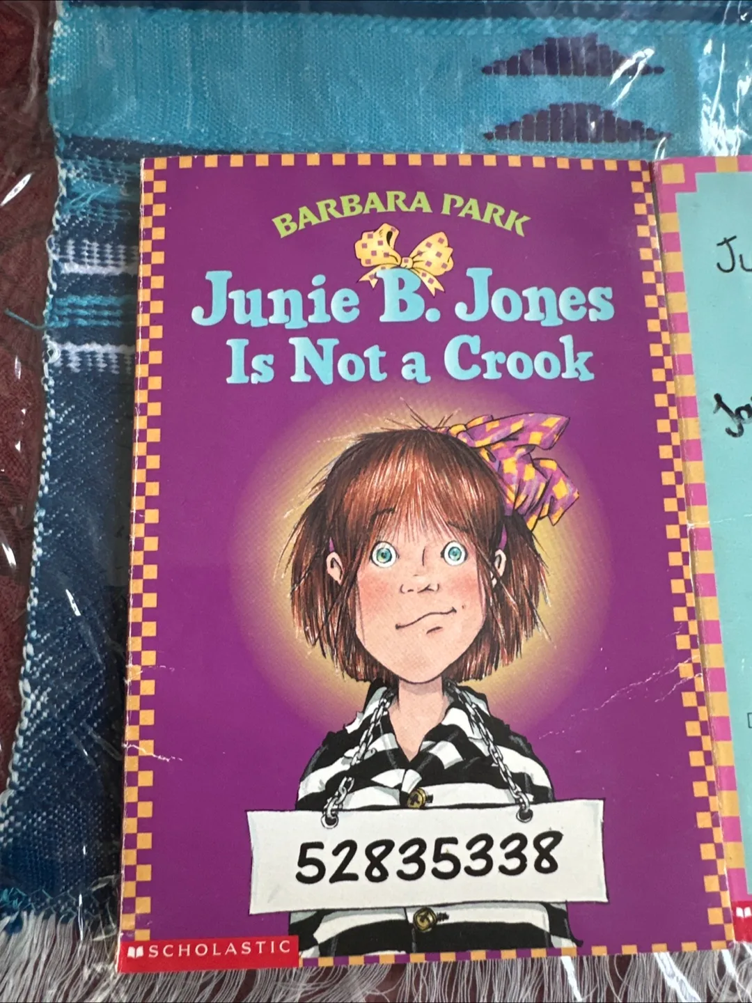 Children's Book Bundle: Cam Jansen, Junie B. Jones thumbnail