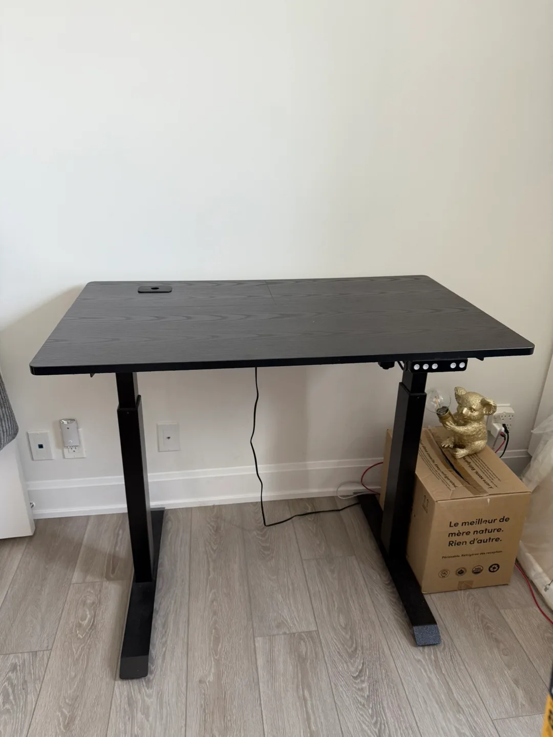 Electric Stand Up Desk thumbnail