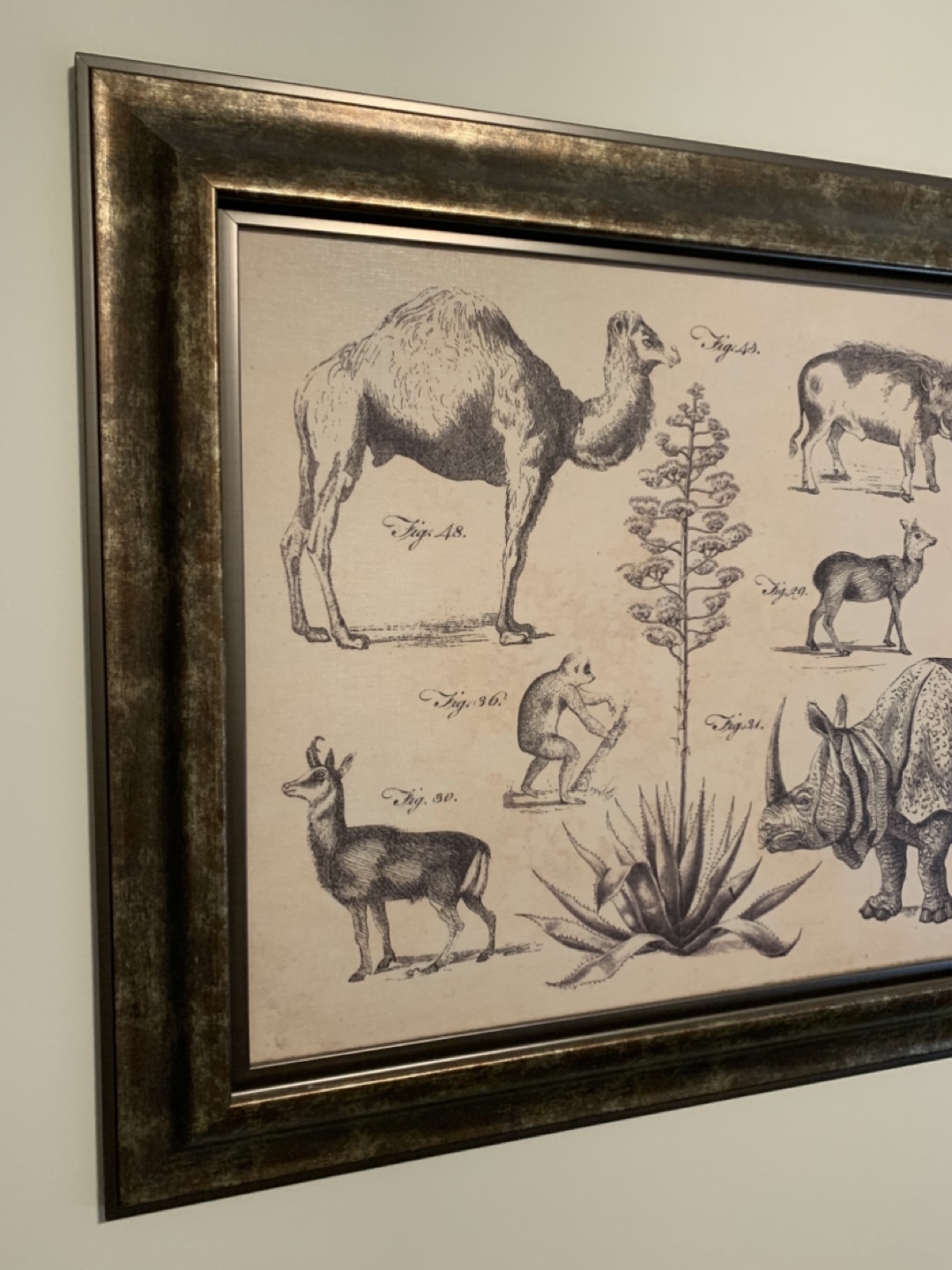 Large Animal Print/Illustration—Wall Decor - photo 3