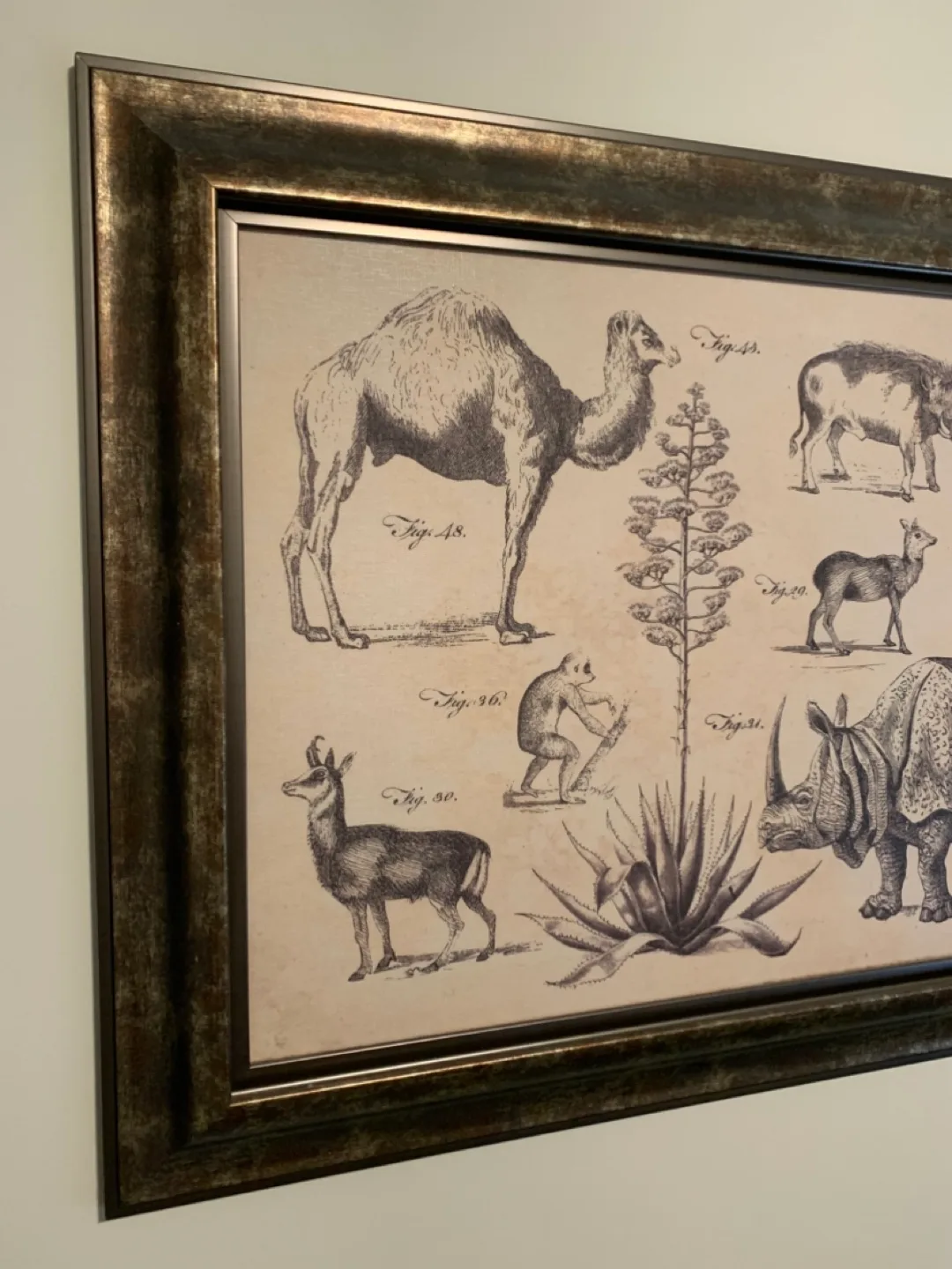 Large Animal Print/Illustration—Wall Decor image indicator(3)