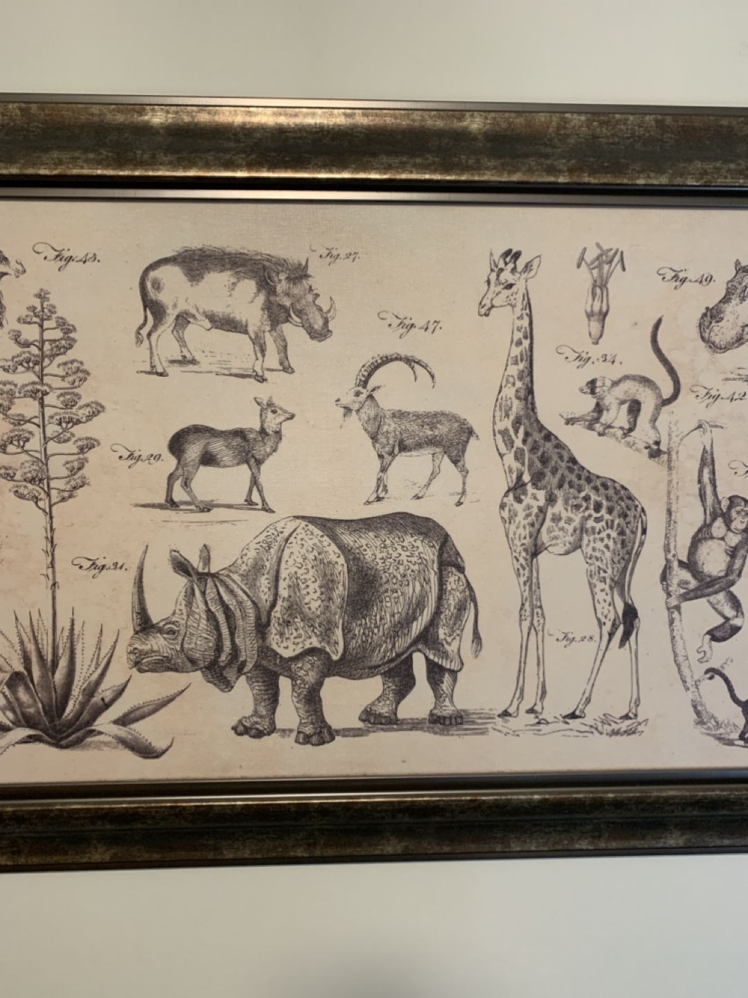 Large Animal Print/Illustration—Wall Decor - photo 4