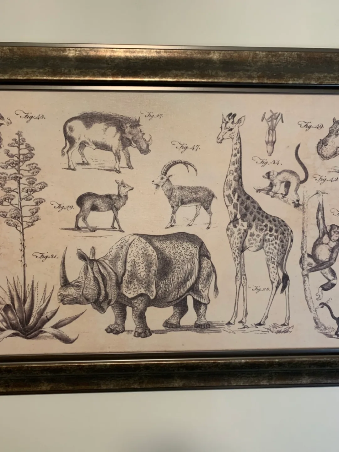 Large Animal Print/Illustration—Wall Decor image indicator(4)