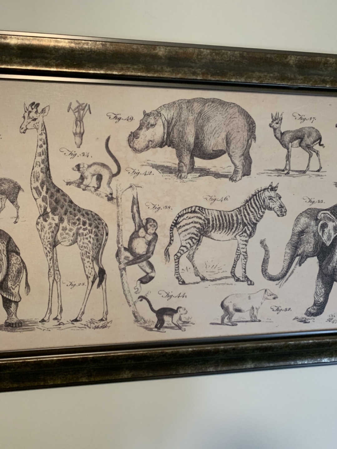 Large Animal Print/Illustration—Wall Decor - photo 5