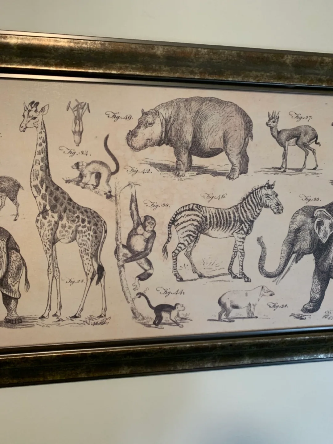 Large Animal Print/Illustration—Wall Decor image indicator(5)