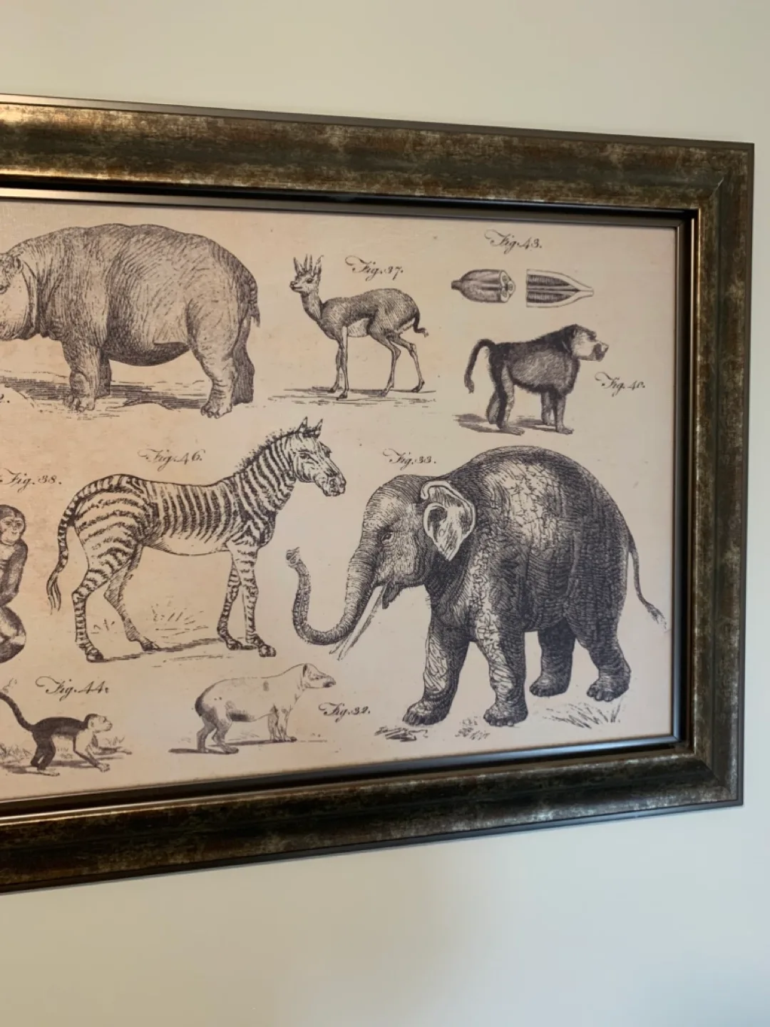 Large Animal Print/Illustration—Wall Decor image indicator(6)