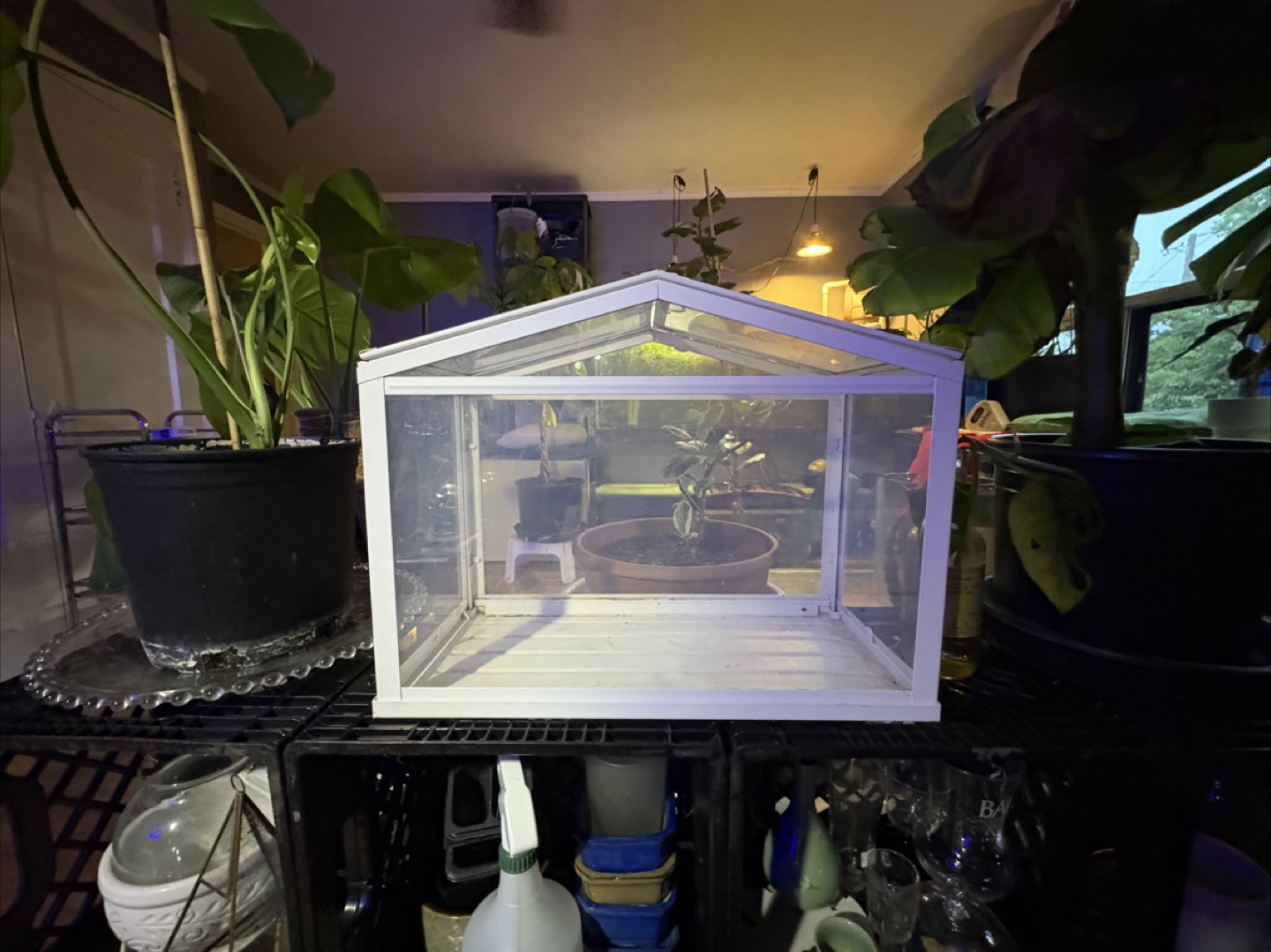 IKEA indoor greenhouse - photo 2