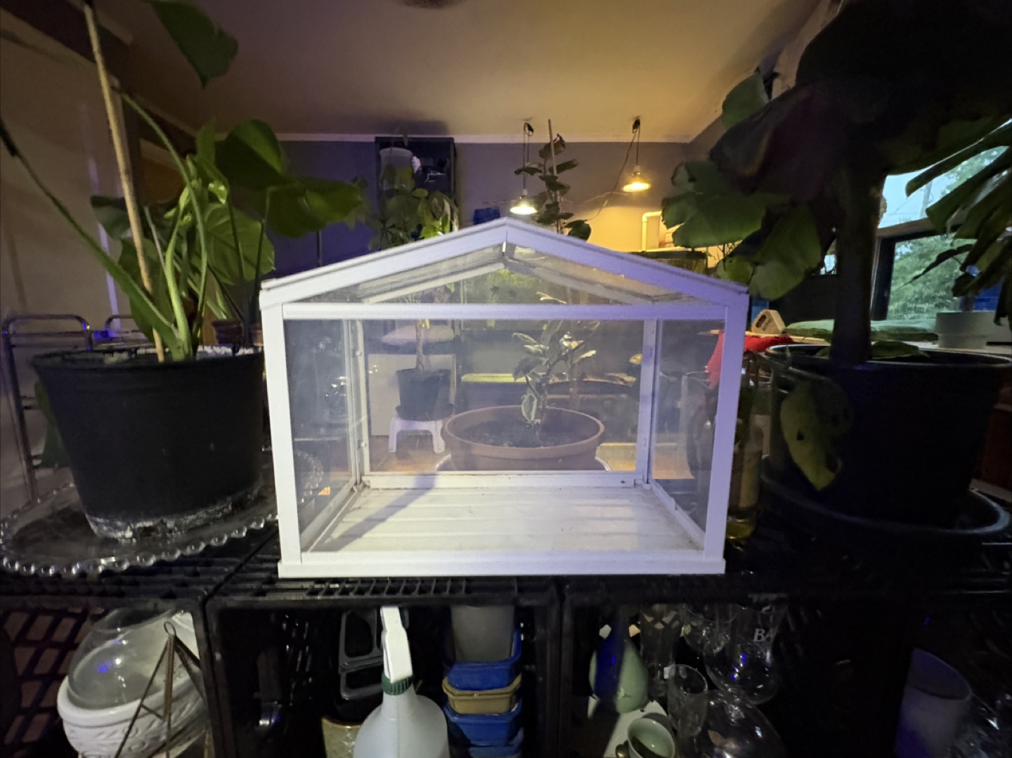 IKEA indoor greenhouse