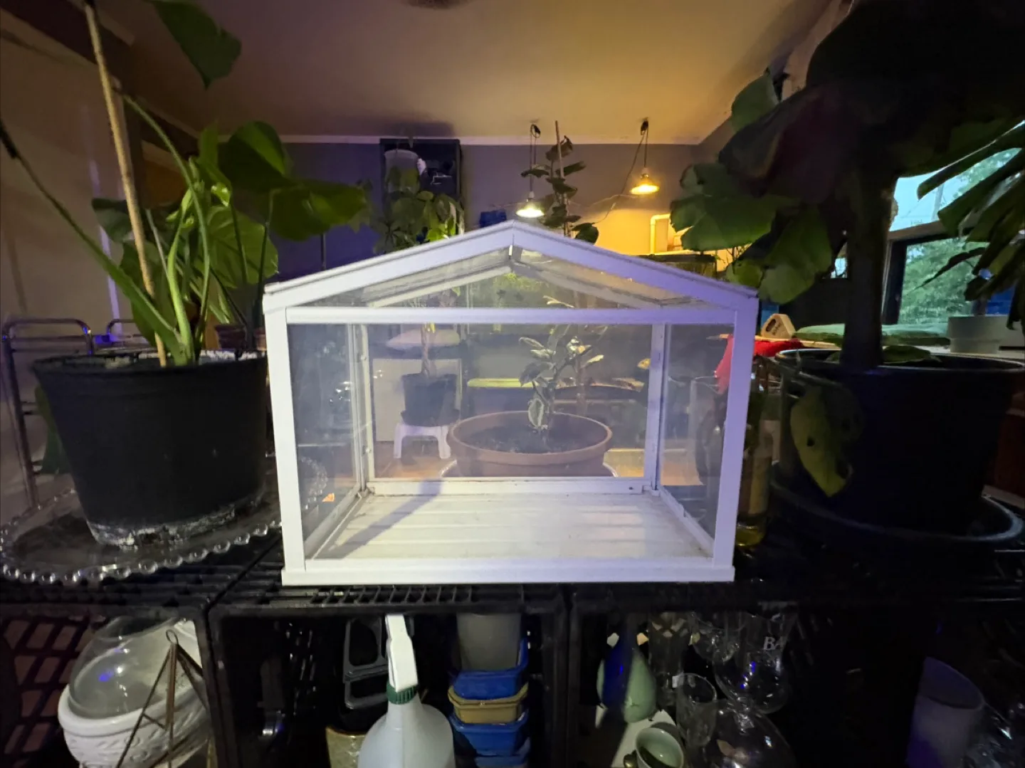 IKEA indoor greenhouse thumbnail