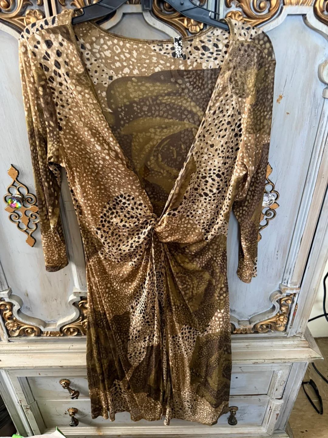 Animal print sheer Dress thumbnail