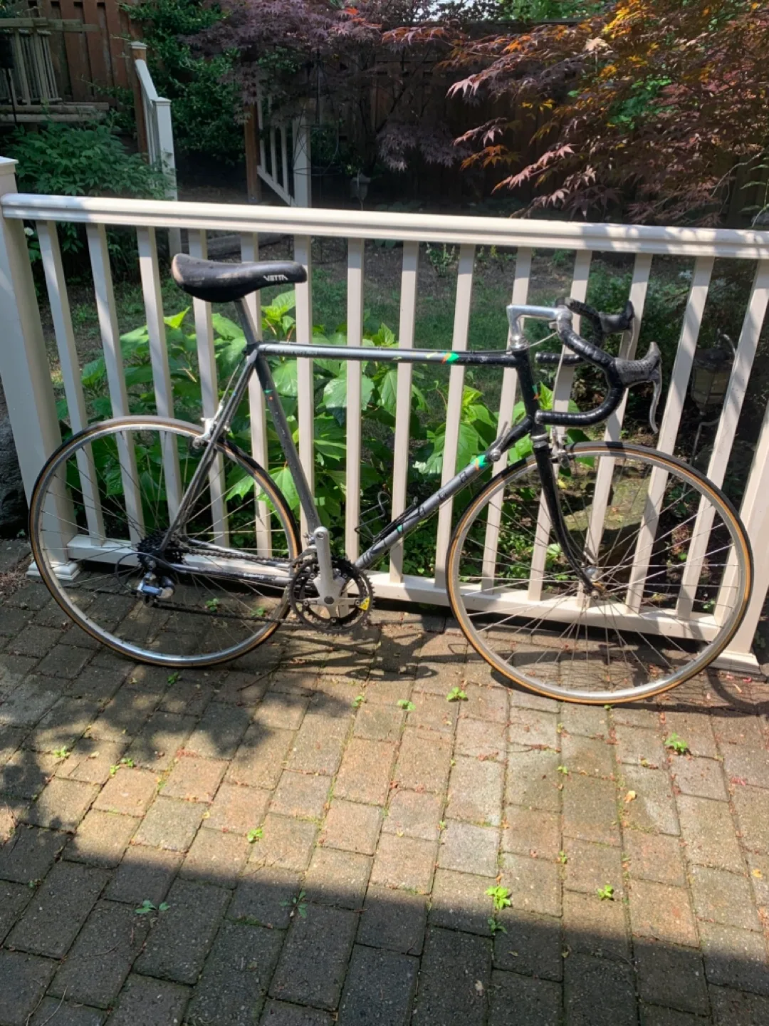 Vintage Miyata Road Bike image indicator(3)