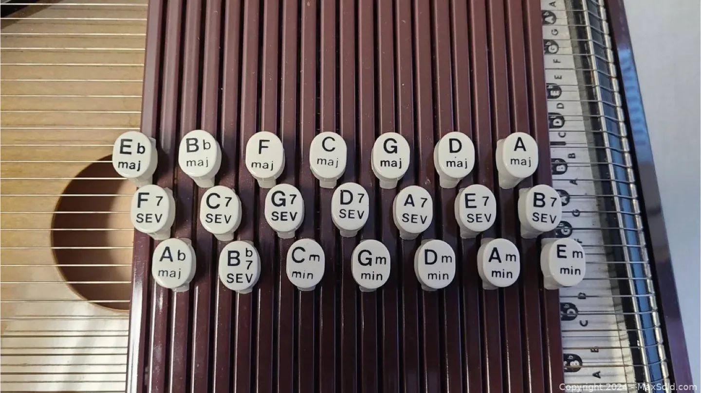 Anjoharp autoharp with case image indicator(2)