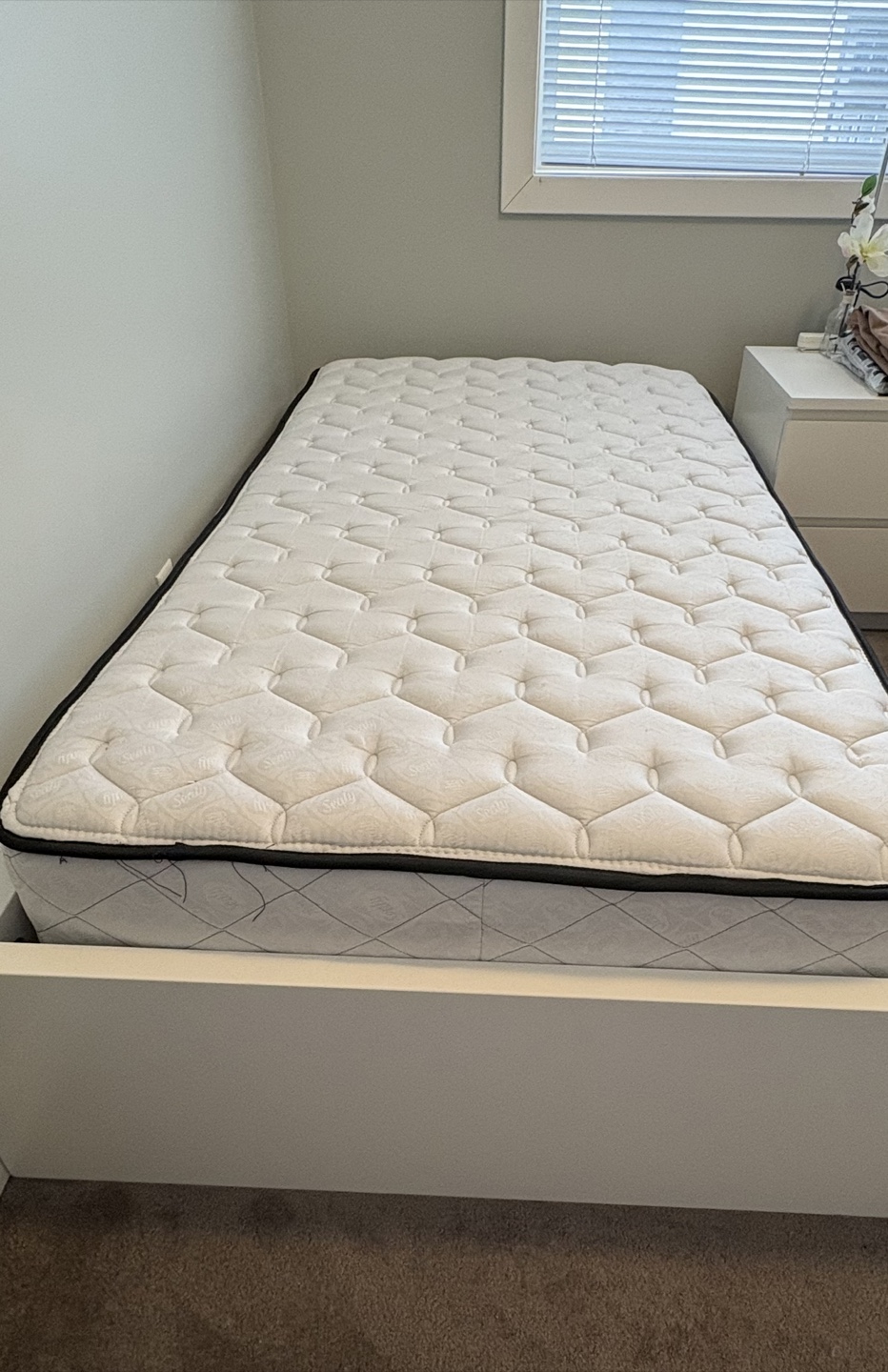 Sealy Twin Mattress (Bed and mattress) - photo 2