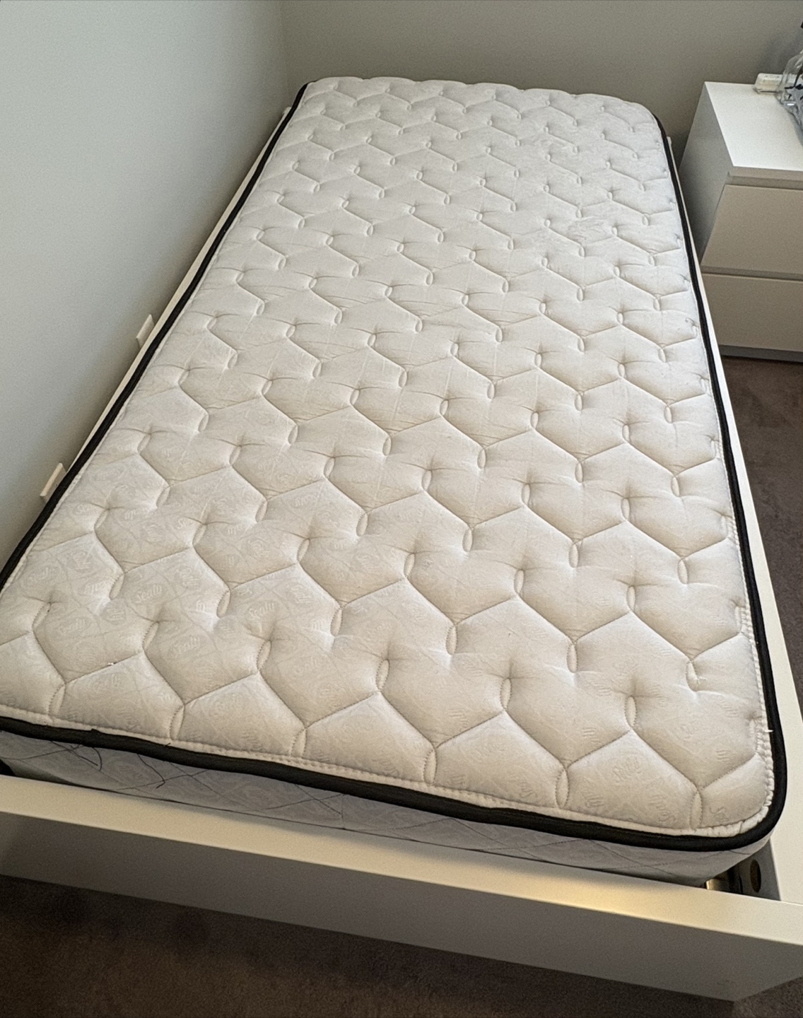 Sealy Twin Mattress (Bed and mattress)