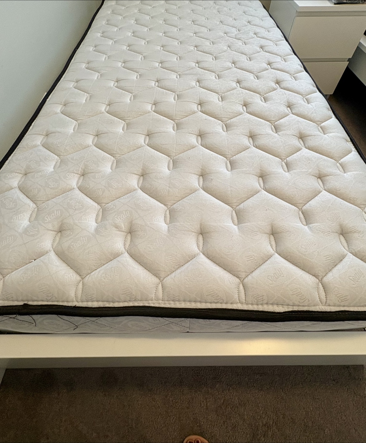 Sealy Twin Mattress (Bed and mattress) - photo 3