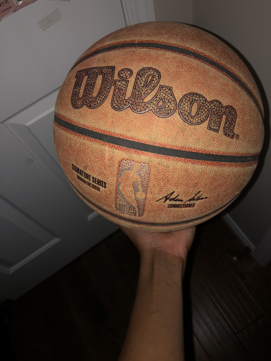 Wilson NBA Signature Series Basketball